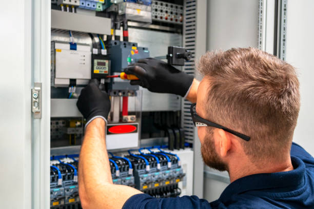 Best Electrical Wiring Services  in Holt, MI