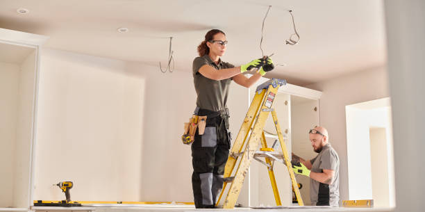 Best Generator Installation Services  in Holt, MI