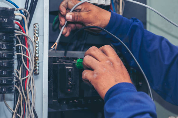 Best Local Electrician Companies  in Holt, MI