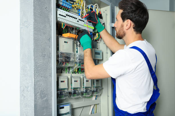 Best Electrical Repair Services  in Holt, MI