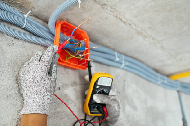 Best Electrical Troubleshooting Services  in Holt, MI